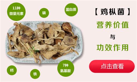 雞樅菌價格多少一斤(云南雞樅菌價格多少一斤)縮略圖