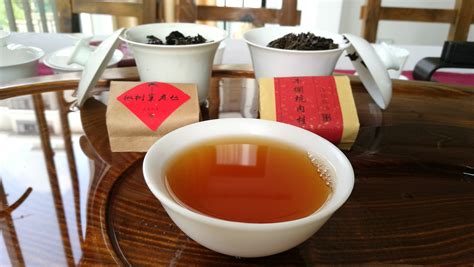 武夷巖茶是什么茶(武夷巖茶是什么茶類)縮略圖