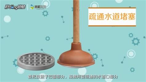 皮搋子怎么讀,通馬桶的皮搋子怎么讀縮略圖