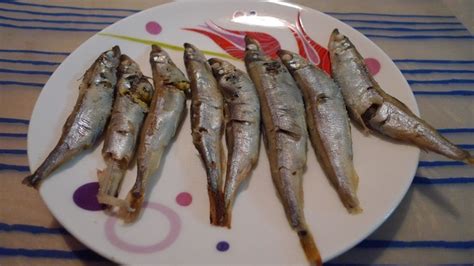 多春魚的做法(多春魚的做法及怎么清洗內臟)縮略圖