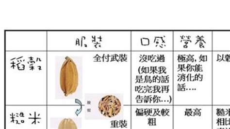 胚芽米保質(zhì)期一般是多久,為什么不建議吃胚芽米縮略圖