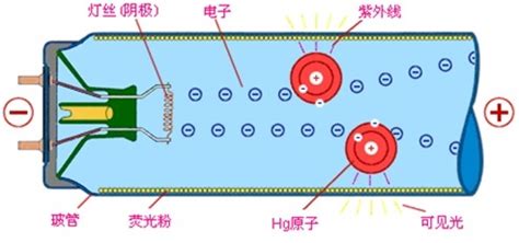 熒光燈和led燈的區(qū)別,熒光燈和led燈的區(qū)別是什么縮略圖