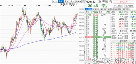 重慶啤酒股票基本面分析報告,重慶啤酒股票基本面分析報告作業(yè)縮略圖
