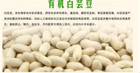 白蕓豆咀嚼片的作用與功效(白蕓豆咀嚼片的作用與功效壓片糖果)縮略圖