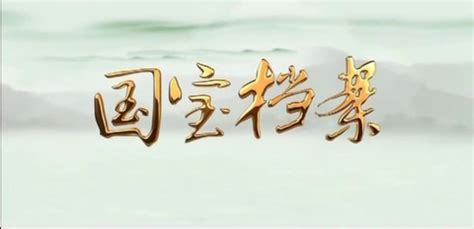 國寶檔案2008(國寶檔案2008年合集)縮略圖