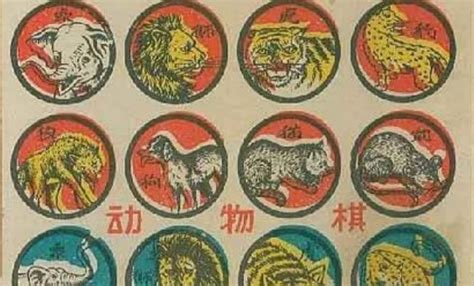 斗獸棋,斗獸棋玩法教程縮略圖