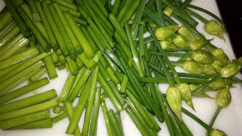 韭菜花功效,韭菜花功效與禁忌縮略圖