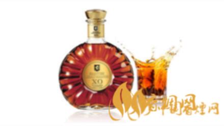白蘭地xo多少錢一瓶,白蘭地xo多少錢一瓶正?？s略圖