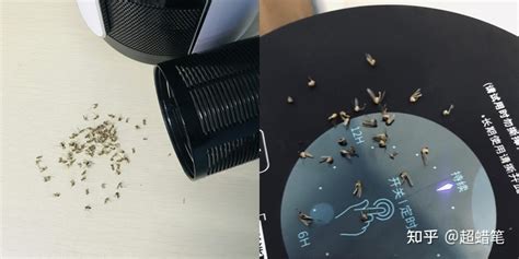 滅蠅燈是什么原理,滅蠅燈是什么工作原理縮略圖