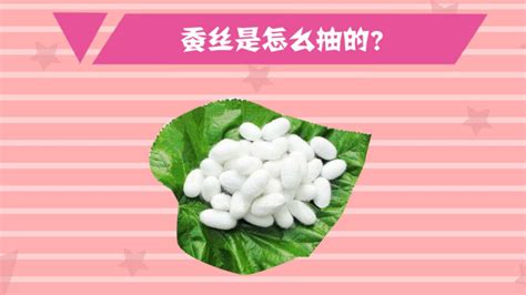 蠶絲被能曬太陽(yáng)嗎(蠶絲被能曬太陽(yáng)嗎怎么曬)縮略圖