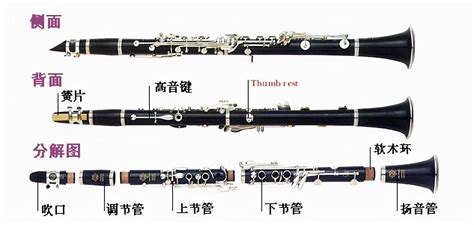 單簧管1234567指法圖(單簧管1234567指法圖解)縮略圖
