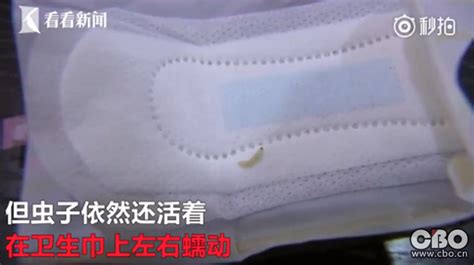 高潔絲蟲卵事件(高潔絲蟲卵事件后續)縮略圖