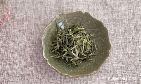 白牡丹屬于什么茶,白牡丹屬于什么茶種類縮略圖