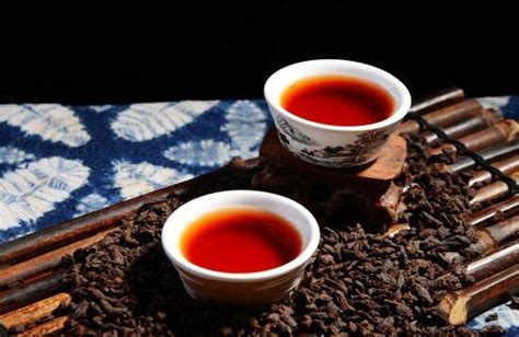 古樹(shù)茶,古樹(shù)茶屬于什么茶縮略圖