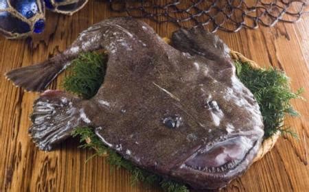 安康魚圖片,安康魚圖片大全大圖縮略圖