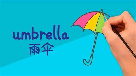 雨傘英語(雨傘英語怎么讀)縮略圖