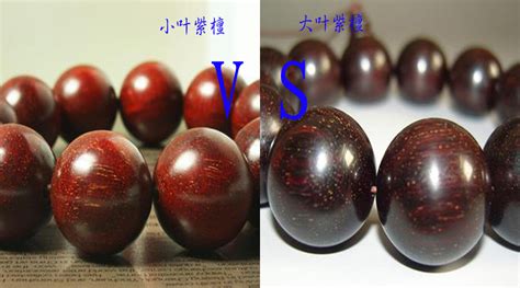 紅檀木和紫檀木哪個(gè)好(紅檀木和紫檀木哪個(gè)好看)縮略圖