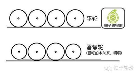 輪子指的是什么人縮略圖