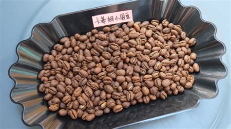 云南咖啡小粒,云南咖啡小?？Х瓤s略圖