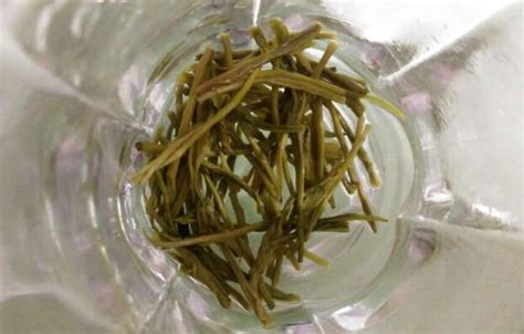 雨花茶(雨花茶南京2023新茶)縮略圖
