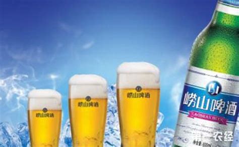 嶗山啤酒多少度,嶗山啤酒多少度數縮略圖