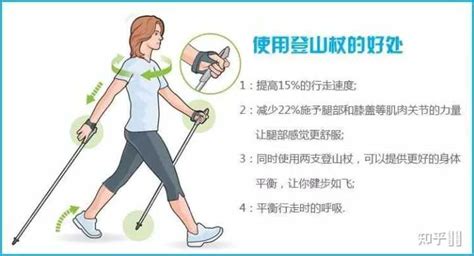 登山杖使用方法圖釋(登山杖的正確使用方法圖解法)縮略圖