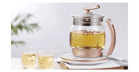 養生壺怎么用 養生壺使用方法詳解,養生壺怎么用養生壺使用方法詳解縮略圖