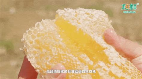 槐花蜜有什么功效與作用禁忌(蜂蜜加什么美白淡斑)縮略圖
