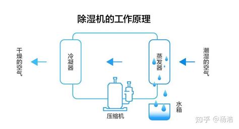 除濕機(jī)真的有用嗎(除濕機(jī)真的有用嗎多少錢)縮略圖