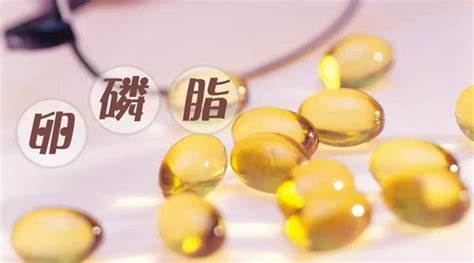卵磷脂怎么補充(卵磷脂怎么補充比較好)縮略圖