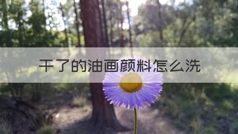 美術顏料怎么洗,美術顏料怎么洗掉縮略圖