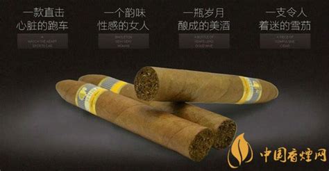 高希霸細支雪茄(高希霸迷你小雪茄20支)縮略圖