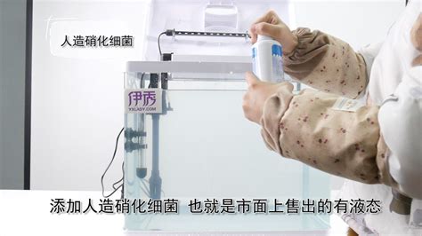 硝化細菌膠囊正確使用方法(硝化細菌膠囊正確使用方法及用量)縮略圖