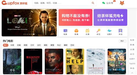 茶杯狐追劇網(wǎng)在線看免費追劇下,茶杯狐追劇網(wǎng)在線看免費縮略圖