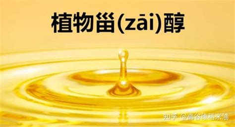 稻米油的營(yíng)養(yǎng)價(jià)值及功效,稻米油的營(yíng)養(yǎng)價(jià)值及功效與作用縮略圖