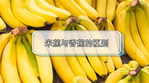松香水和香蕉水有區別嗎(松香水的作用與用途)縮略圖