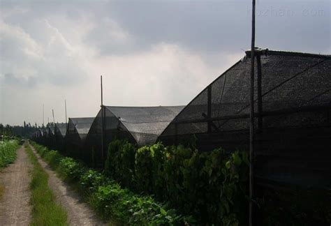 防塵網生產廠家,防塵網生產廠家防塵網批發縮略圖