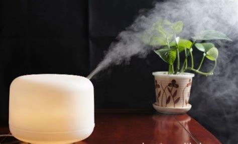 衛(wèi)生間除臭器哪個(gè)效果比較好(衛(wèi)生間除臭器哪個(gè)效果比較好用)縮略圖