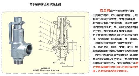 安全閥結構圖解(先導式安全閥結構圖解)縮略圖