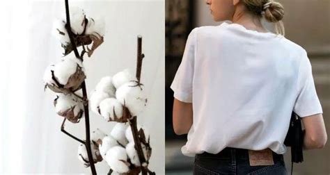 短袖什么面料舒服(短袖什么面料舒服又好看)縮略圖