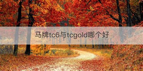 馬牌tc6,馬牌tc6輪胎評(píng)測(cè)縮略圖
