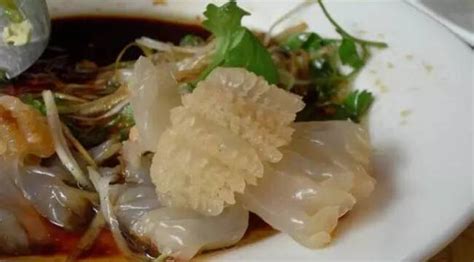 海蜇頭怎么保存不會(huì)壞,海蜇頭怎么保存不爛縮略圖