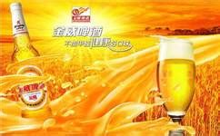 金威啤酒好喝嗎(金威啤酒好喝嗎怎么樣)縮略圖