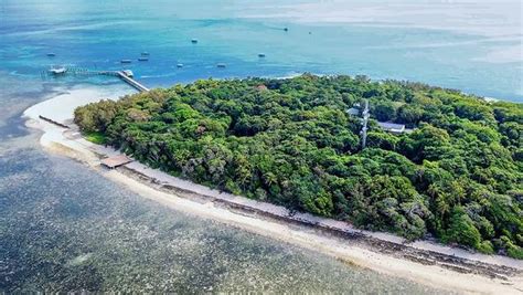 綠島風廠家地址(綠島風廠家地址圖片)縮略圖