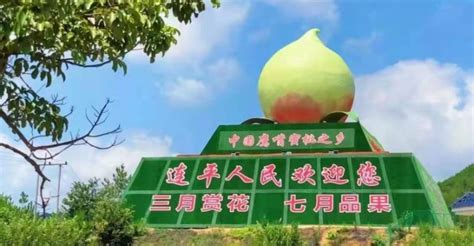 鷹嘴桃產(chǎn)地哪里最好吃,鷹嘴桃產(chǎn)地哪里最好吃又甜縮略圖