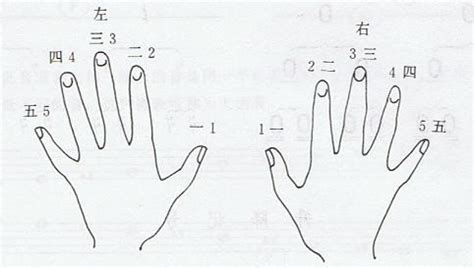 三弦自學(xué)入門圖解指法(三弦自學(xué)入門圖解指法演奏指法)縮略圖