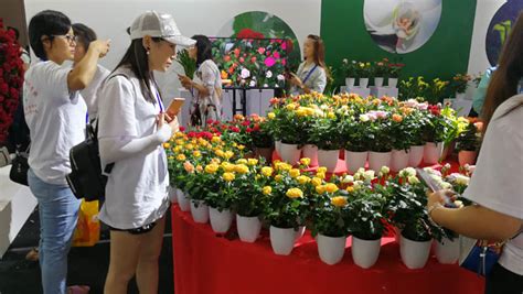成都花店批發市場在哪里,成都花店進貨渠道批發市場縮略圖
