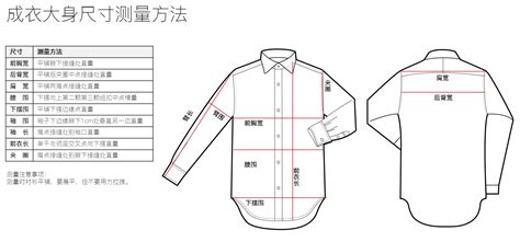 襯衫的拼音(襯衫的拼音怎么寫(xiě))縮略圖
