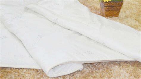 被子發(fā)霉怎么解決(被子發(fā)霉怎么快速解決)縮略圖