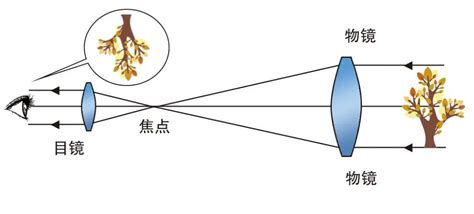 望遠(yuǎn)鏡成像原理(望遠(yuǎn)鏡成像原理圖)縮略圖